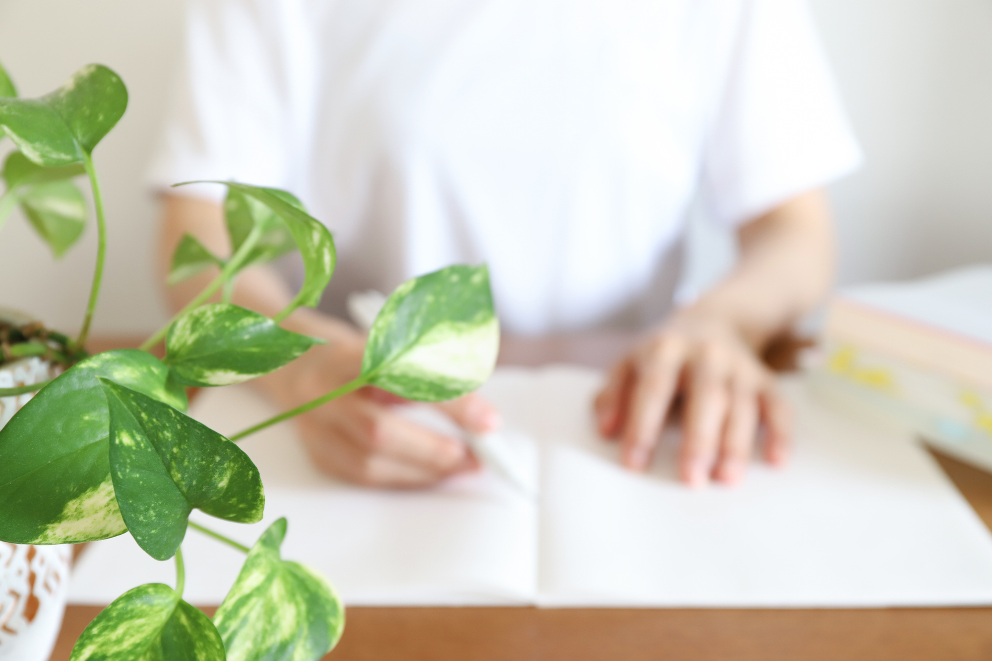 中国語ノートの作り方完全ガイド！独学で上達する最強のまとめ術