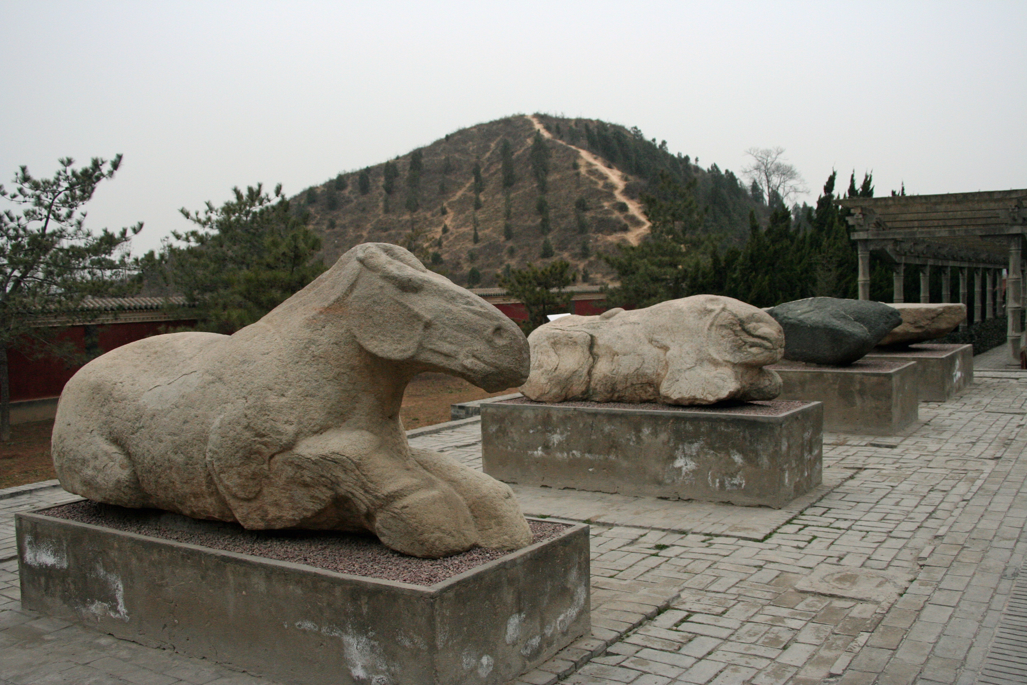 漢王朝の歴史を徹底解説！始皇帝の統一を継いだ漢字と成語のルーツ