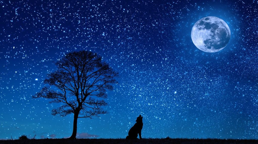 夜の時間帯（夕方〜深夜）
