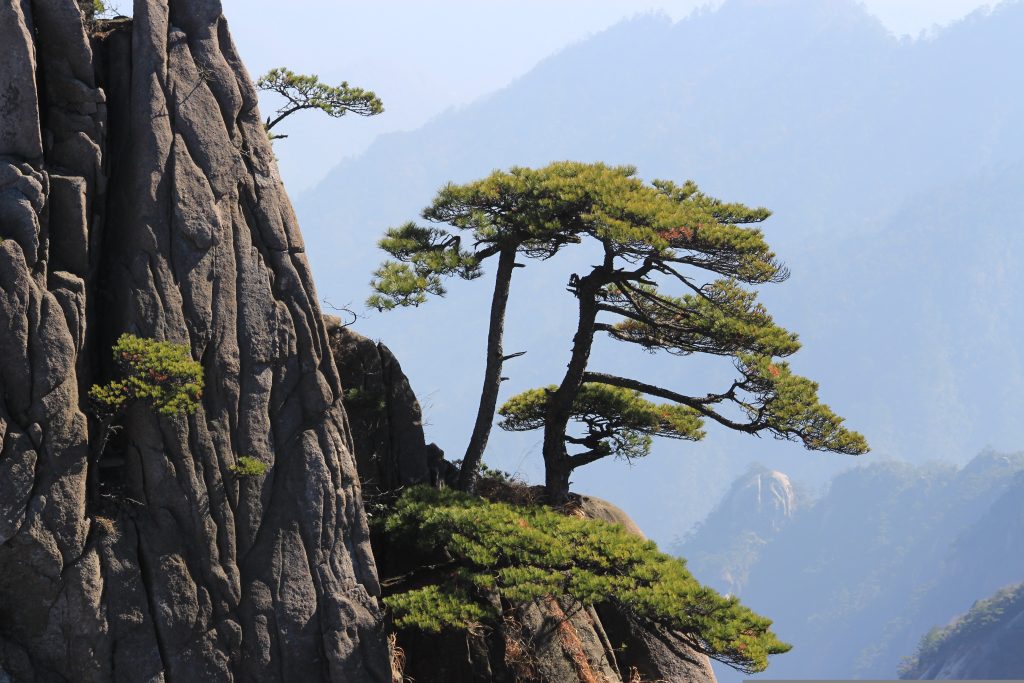 黄山風景区内