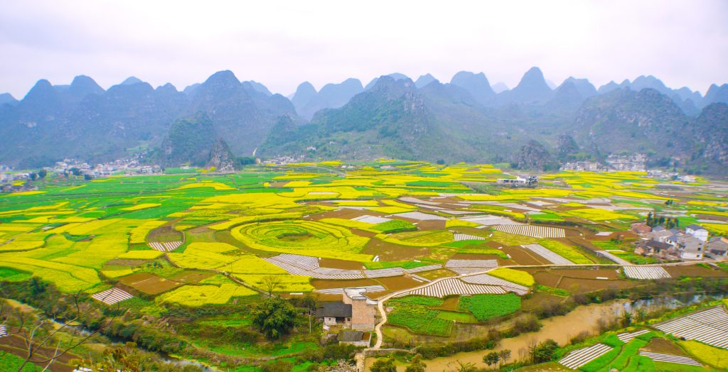 農村から始まった改革:生産請負制度