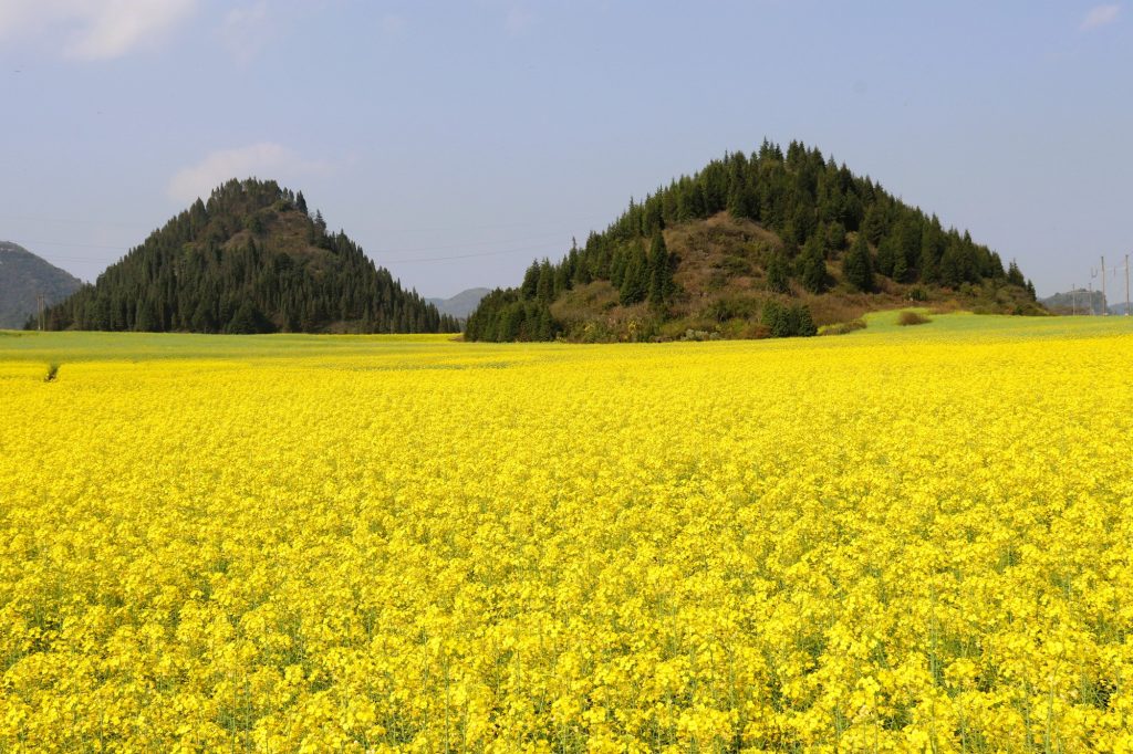 雲南旅行のベストシーズンは?